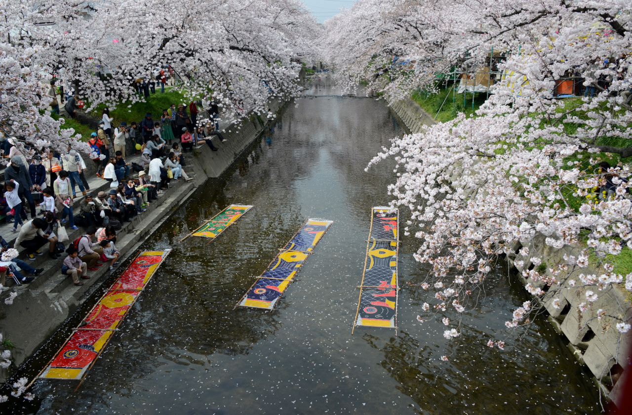 五条川 愛知県岩倉市 で花見を楽しむ 愛知県の旅行記 ブログ By Punchmsさん フォートラベル