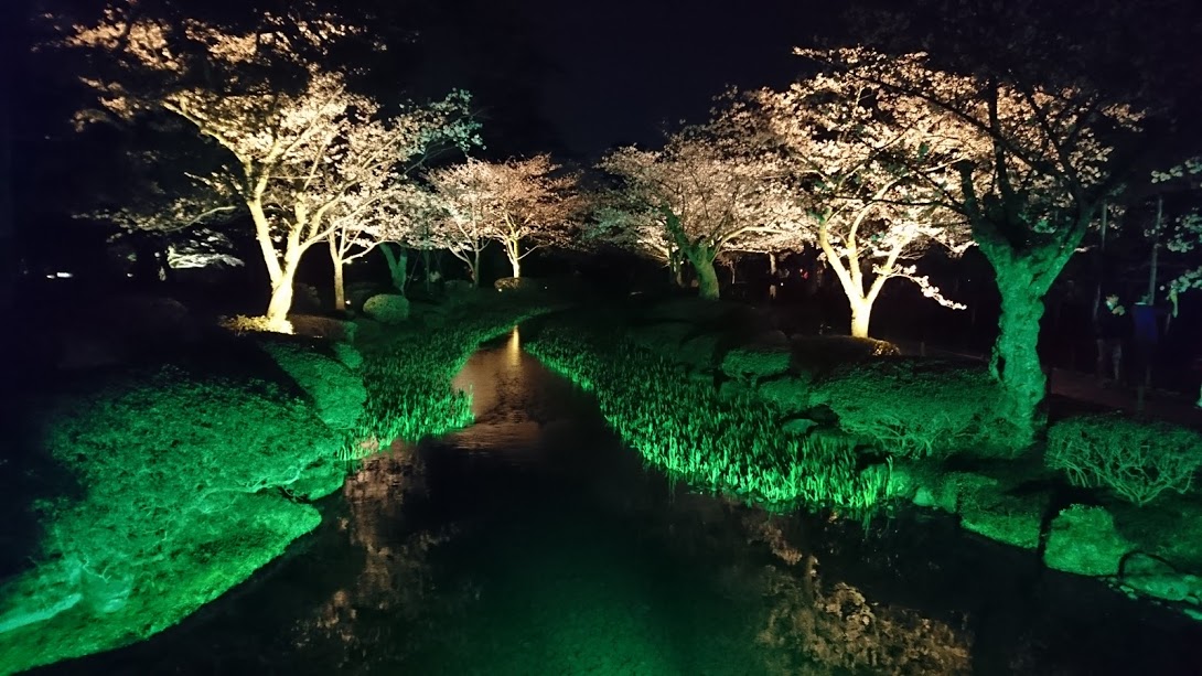 兼六園無料開放 観桜期 金沢 石川県 の旅行記 ブログ By Shima9さん フォートラベル