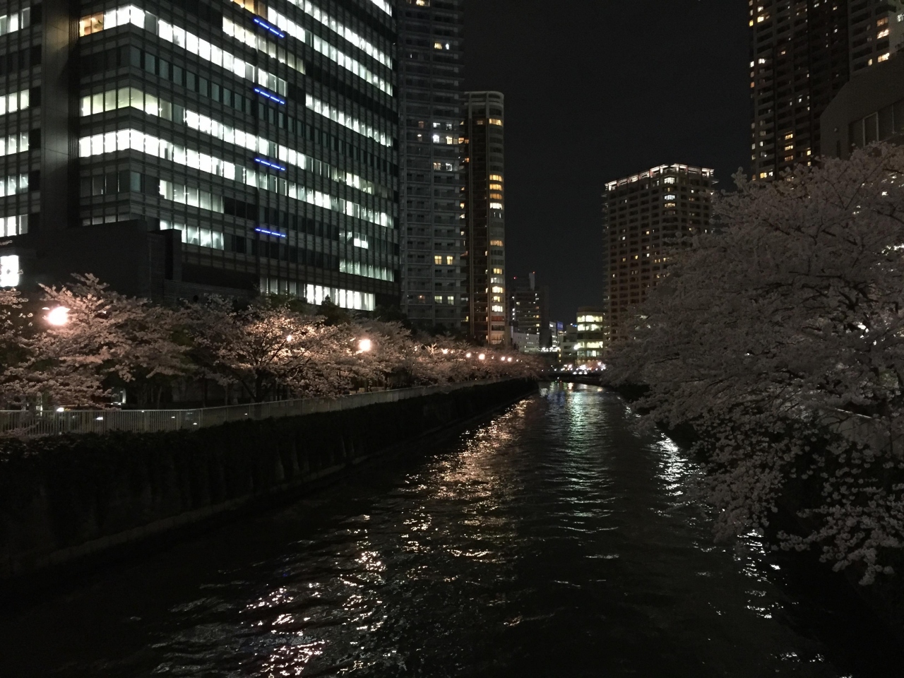 目黒川さくら川 大崎 五反田 東京 の旅行記 ブログ By Bmi22さん フォートラベル