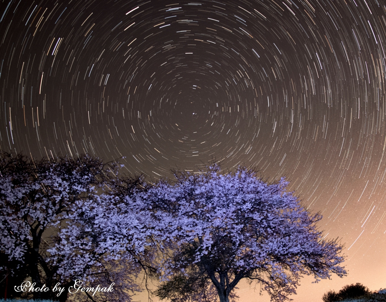 星空の下 判官塚古墳に咲く孤高の桜 鹿沼 栃木県 の旅行記 ブログ By 玄白さん フォートラベル