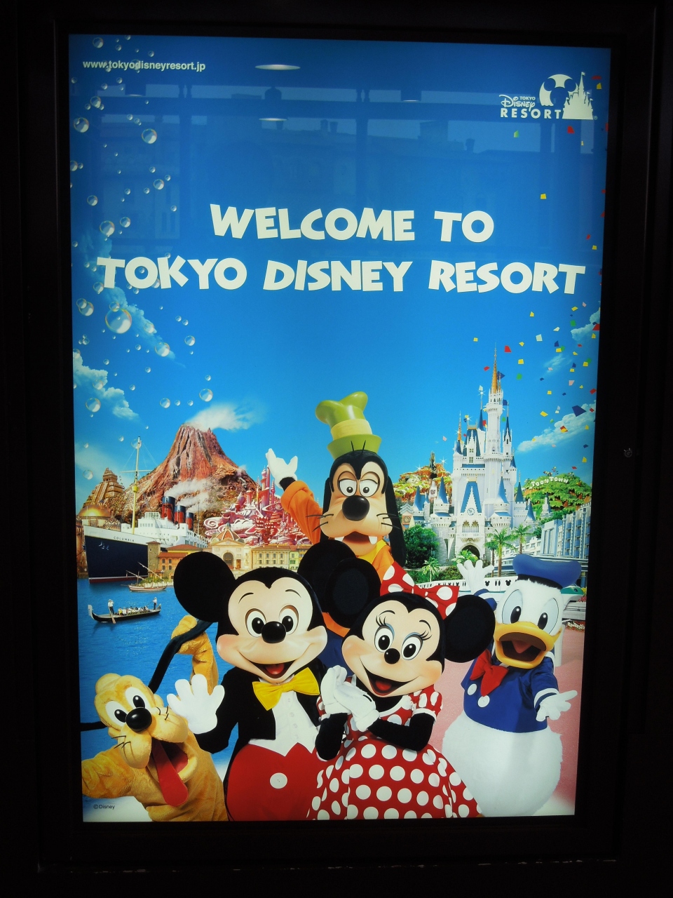 15年 10月 ディズニーリゾートへ行く堪能する大阪人 その5 ディズニーランド編 東京ディズニーリゾート 千葉県 の旅行記 ブログ By Dmnkさん フォートラベル 15年 10月 ディズニーリゾートへ行く堪能する大阪人 その5 ディズニーランド編 東京ディズニーリゾート 千葉県 の旅行記 ブログ By Dmnkさん フォートラベル