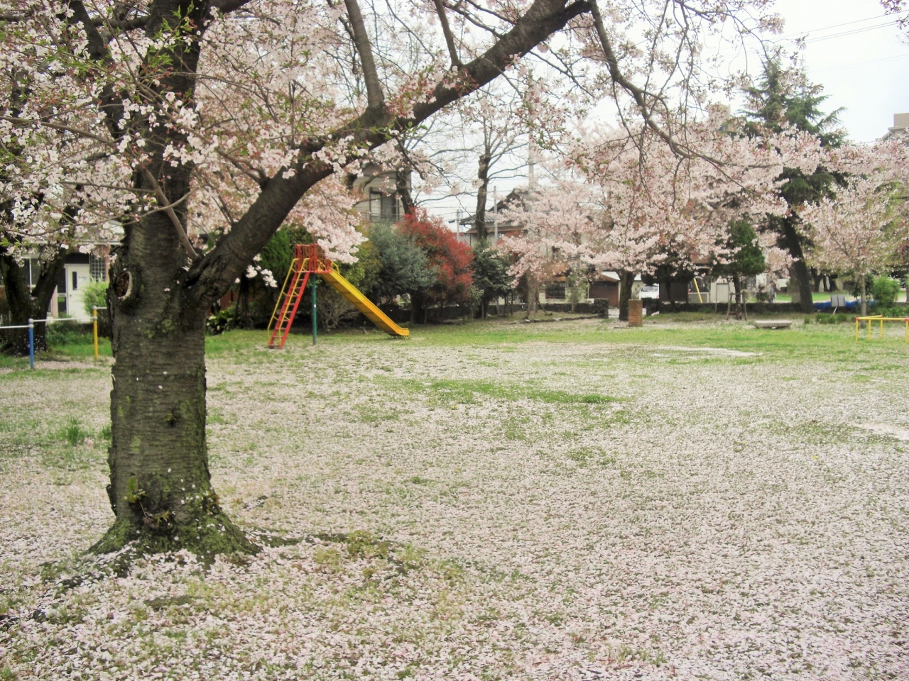 2016年 山口県 宇部市 国道沿いにある公園の桜がきれいだったので寄ってみました 宇部 小野田 山口県 の旅行記 ブログ By イロコさん フォートラベル 2016年 山口県 宇部市 国道沿いにある公園の桜がきれいだったので寄ってみました 宇部 小野田 山口県 の旅行記 ブログ By イロコさん フォートラベル