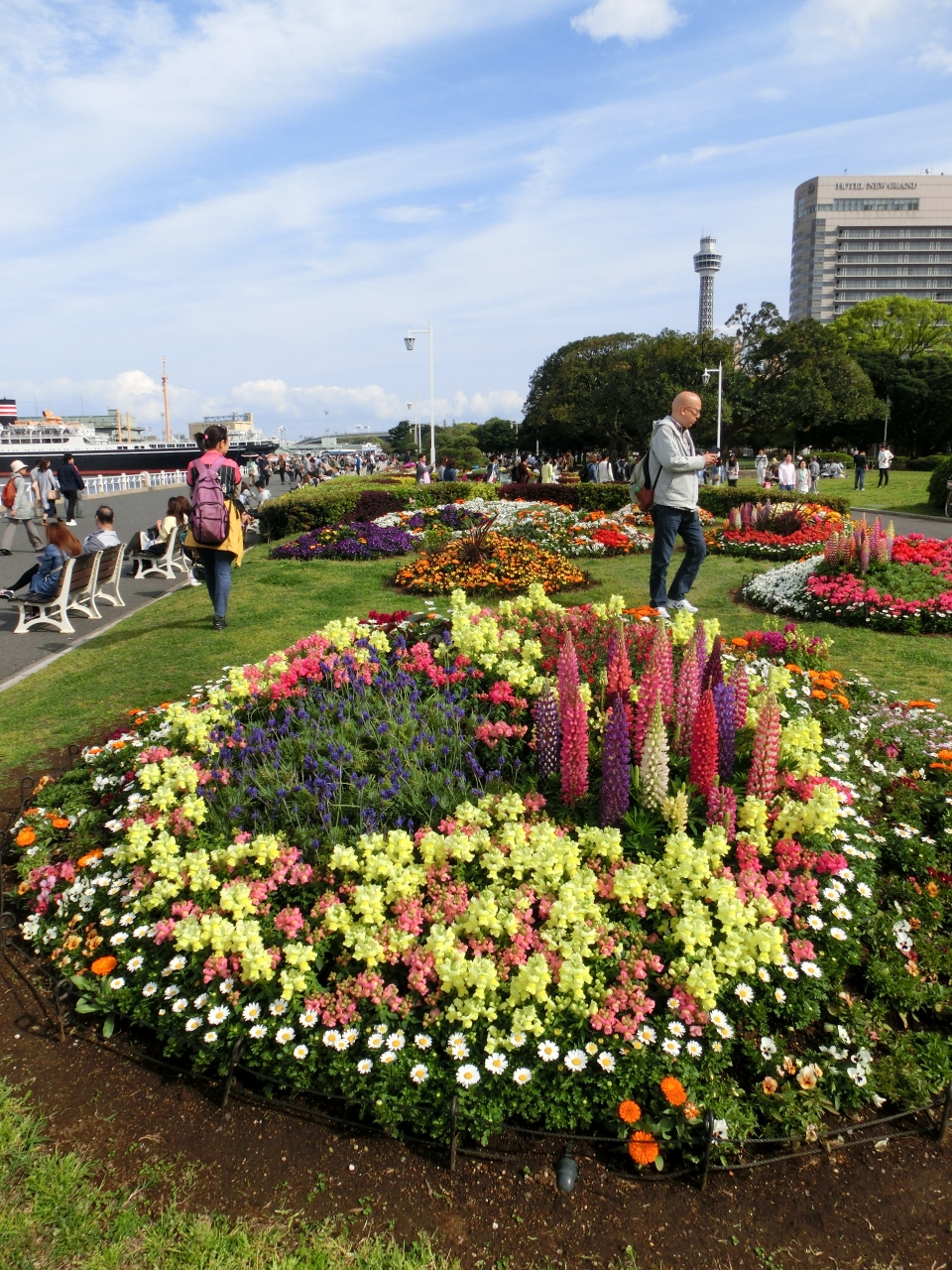 久しぶりに山下公園へ 横浜公園のチューリップも少し 横浜 神奈川県 の旅行記 ブログ By あんみつ姫さん フォートラベル