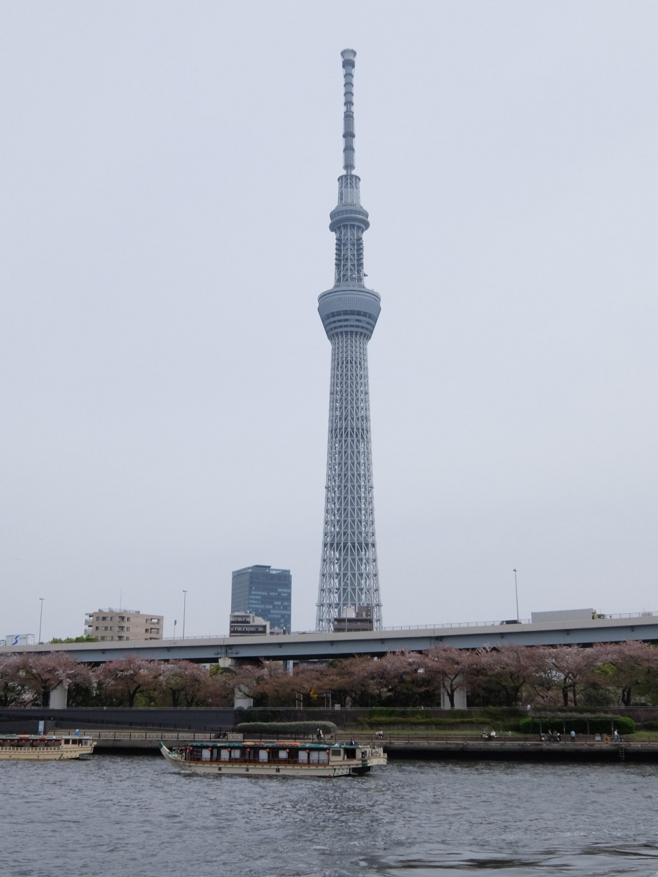 東京水辺ライン 隅田川クルーズ と浜離宮でのお花見 両国 東京 の旅行記 ブログ By Streamさん フォートラベル 東京水辺ライン 隅田川クルーズ と浜離宮でのお花見 両国 東京 の旅行記 ブログ By Streamさん フォートラベル