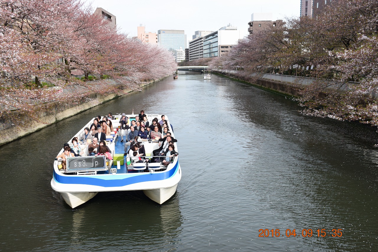 東京散策50 さくら散り始めのお江戸深川さくらまつりと富岡八幡宮 深川不動尊を散策 門前仲町 東京 の旅行記 ブログ By Jh2fxvさん フォートラベル 東京散策50 さくら散り始めのお江戸深川さくらまつりと富岡八幡宮 深川不動尊を散策 門前仲町 東京 の旅行記 ブログ By Jh2fxvさん フォートラベル
