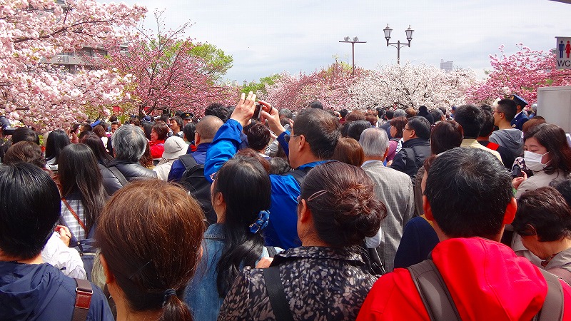 超久しぶりの 大阪造幣局 桜の通り抜け 上巻 大阪城 京橋 大阪 の旅行記 ブログ By Hn11さん フォートラベル 超久しぶりの 大阪造幣局 桜の通り抜け 上巻 大阪城 京橋 大阪 の旅行記 ブログ By Hn11さん フォートラベル