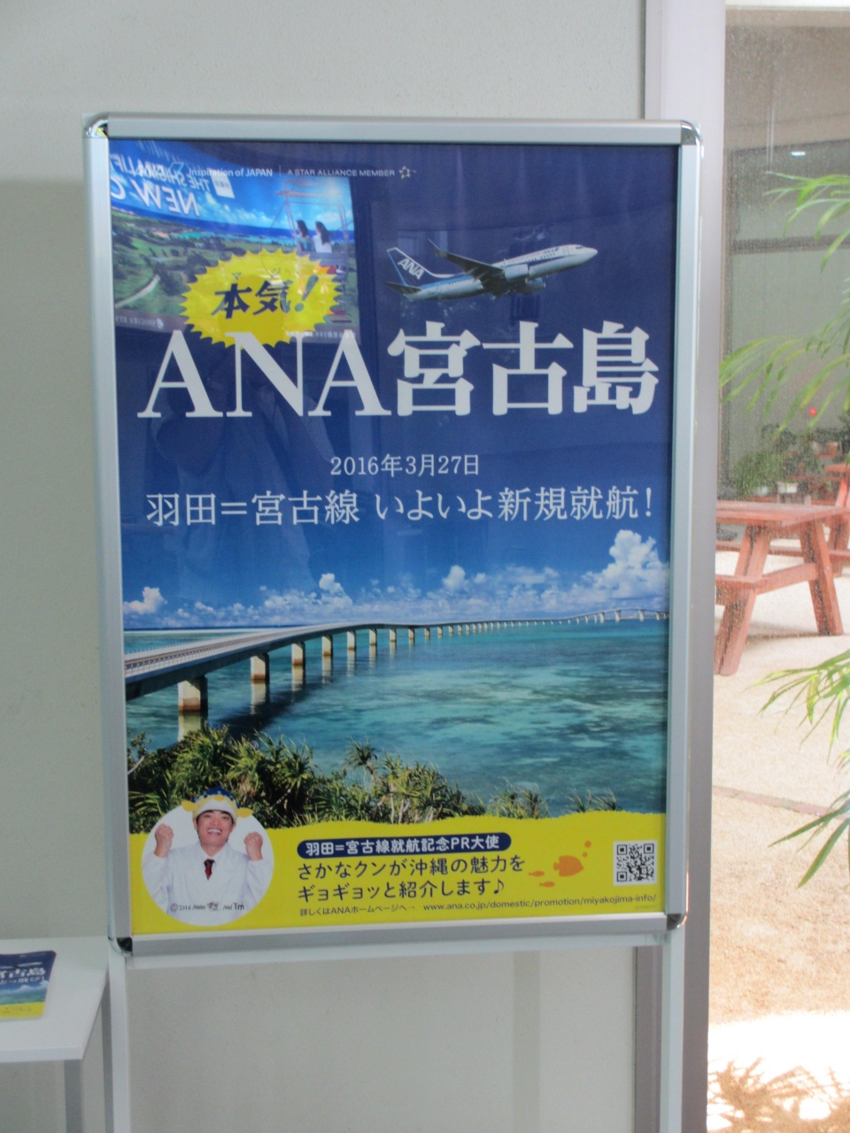 2016年ana dia 修行9回目 宮古島への直行便に搭乗せよ 羽田 宮古島 那覇 羽田 日帰り 早朝羽田空港にてムロショットの罪で確保され 移送された宮古島で逃走に成功し ジャッキーステーキハウスで爆食した旅 那覇 沖縄県 の旅行記 ブログ