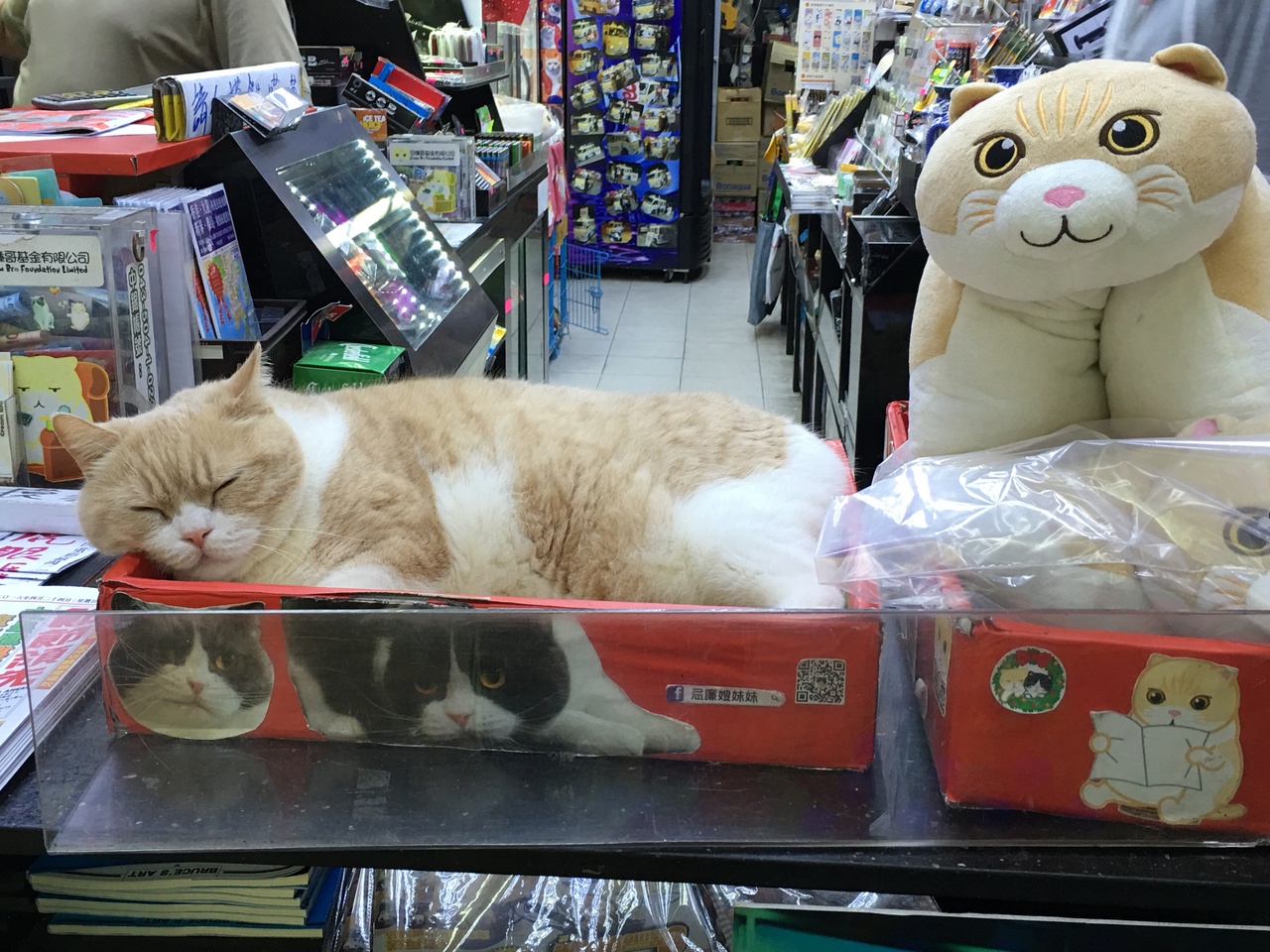 クリーム兄貴のお店が閉店 香港 香港 の旅行記 ブログ By エス ティー ワールド香港 さん フォートラベル