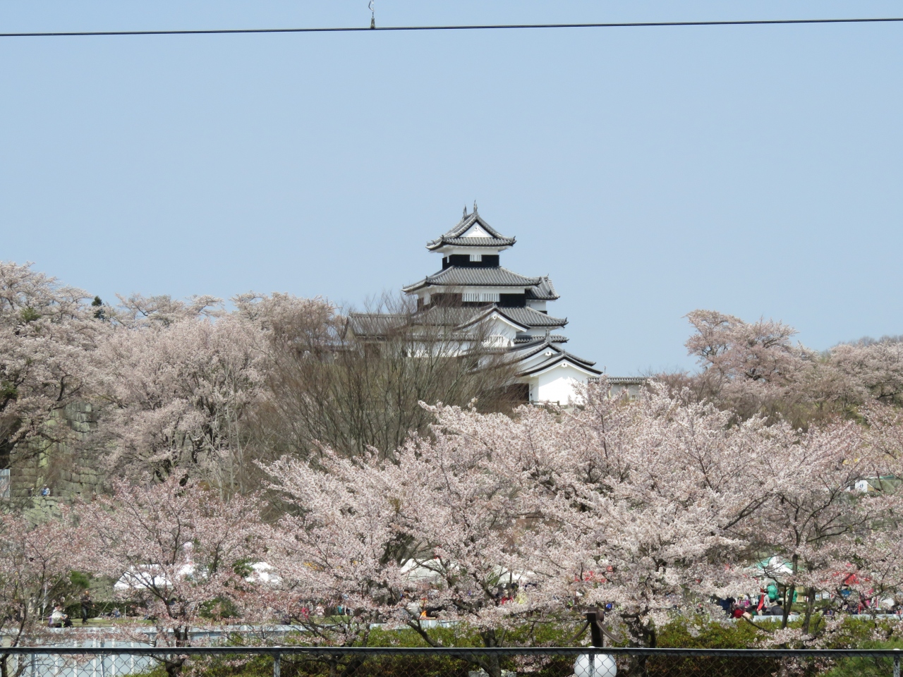 うつくしま 福島の花の名所を巡る 白河小峰城編 白河 福島県 の旅行記 ブログ By 酒飲む旅人さん フォートラベル