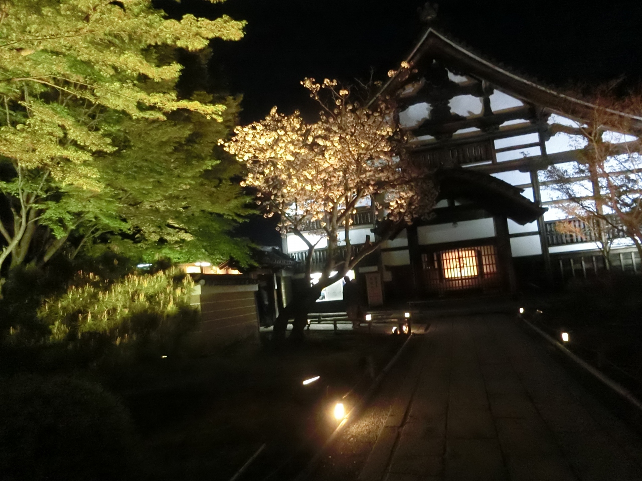 京都での同窓会 夜の祇園 八坂神社 東山 祇園 北白川 京都 の旅行記 ブログ By ごろちゃんさん フォートラベル