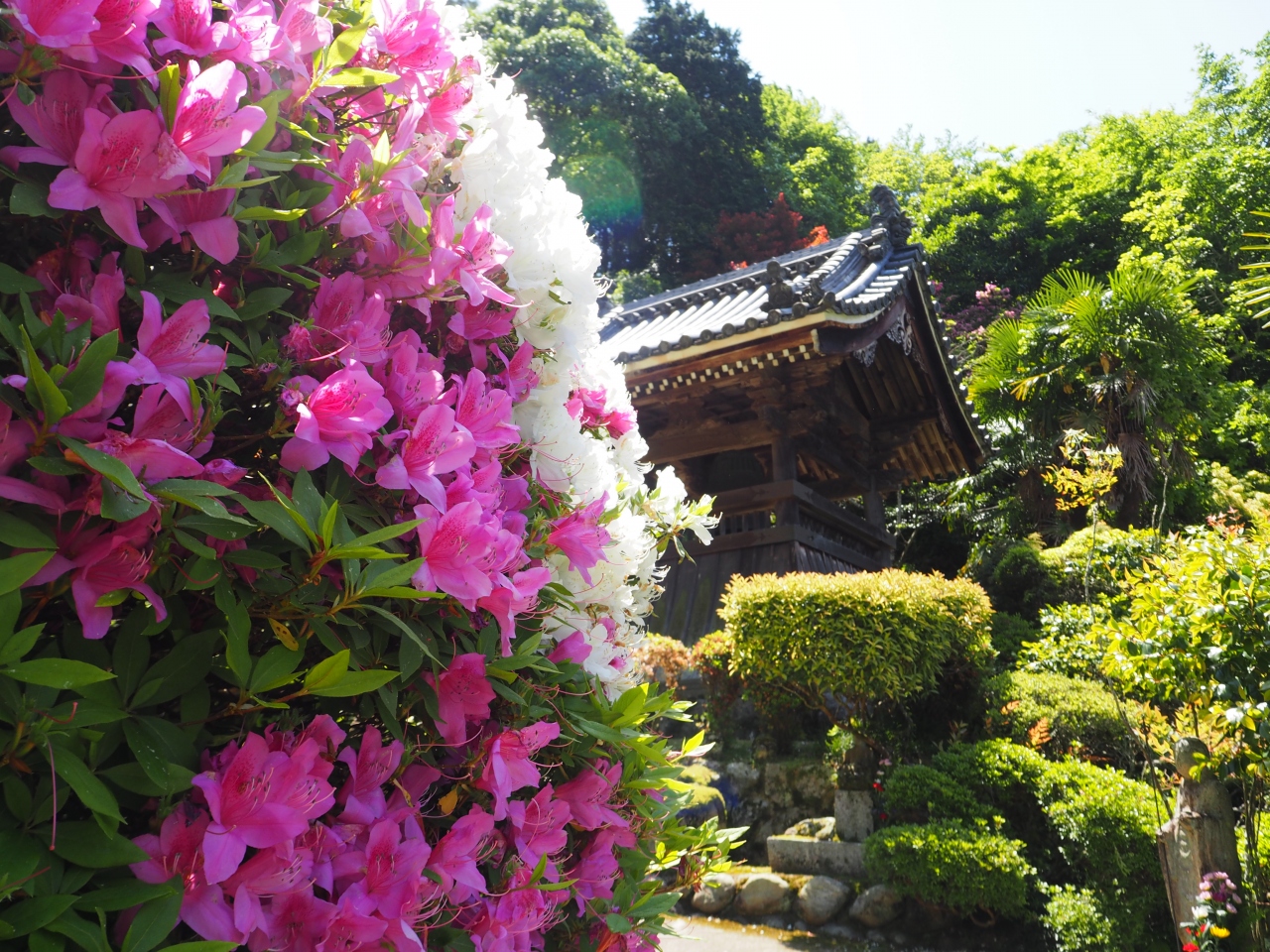 関西花の寺第二十二番船宿寺へ 御所 葛城 奈良県 の旅行記 ブログ By のーとくんさん フォートラベル 関西花の寺第二十二番船宿寺へ 御所 葛城 奈良県 の旅行記 ブログ By のーとくんさん フォートラベル