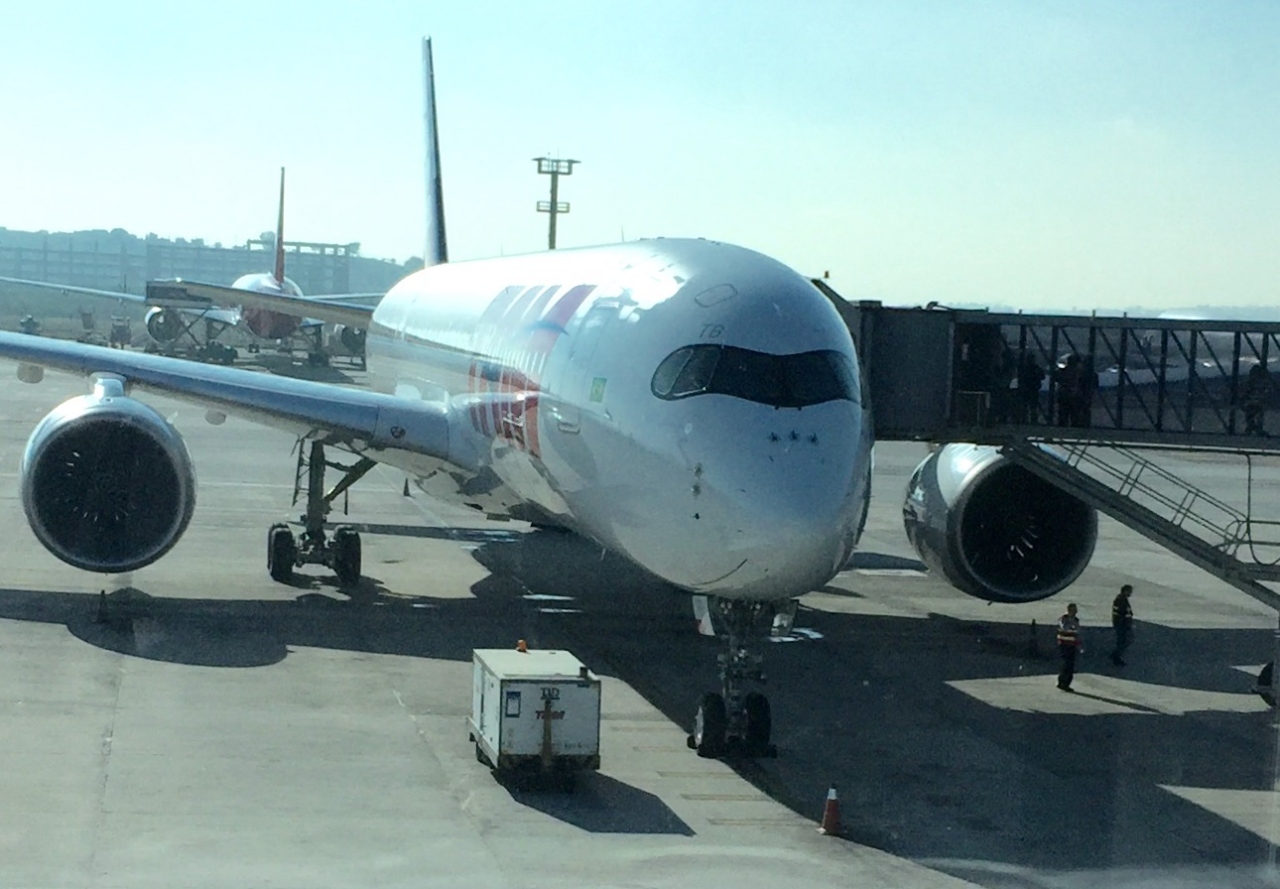 サンパウロ グゥアルーリョス空港とｔａｍ航空 そしてｊｆｋ空港のｊａｌラウンジで タオルが無い 事件 サンパウロ ブラジル サンパウロ ブラジル の旅行記 ブログ By コタ Kota １号さん フォートラベル