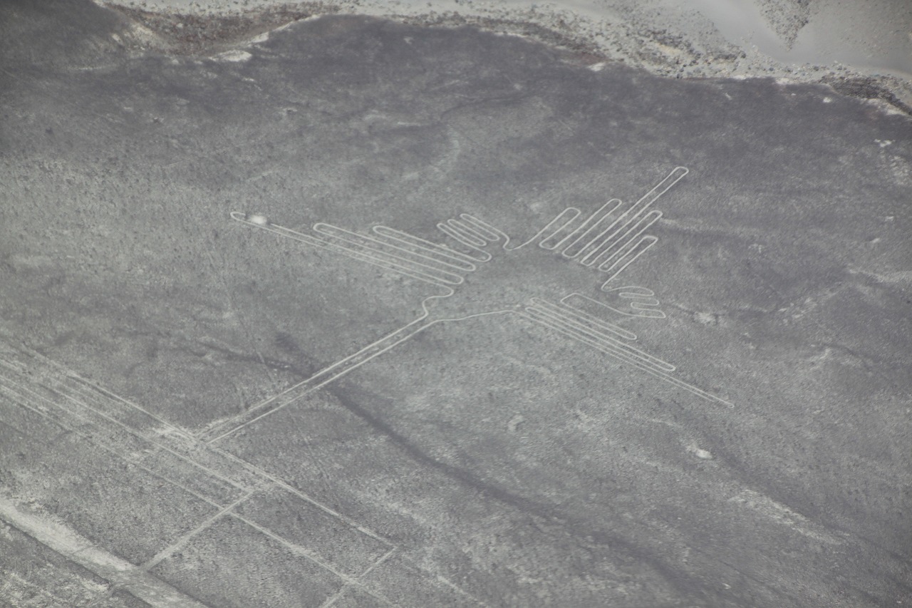 南米の13日間世界遺産巡り その１０ ナスカの地上絵観光編 ナスカ ペルー の旅行記 ブログ By 旅好き長さんさん フォートラベル