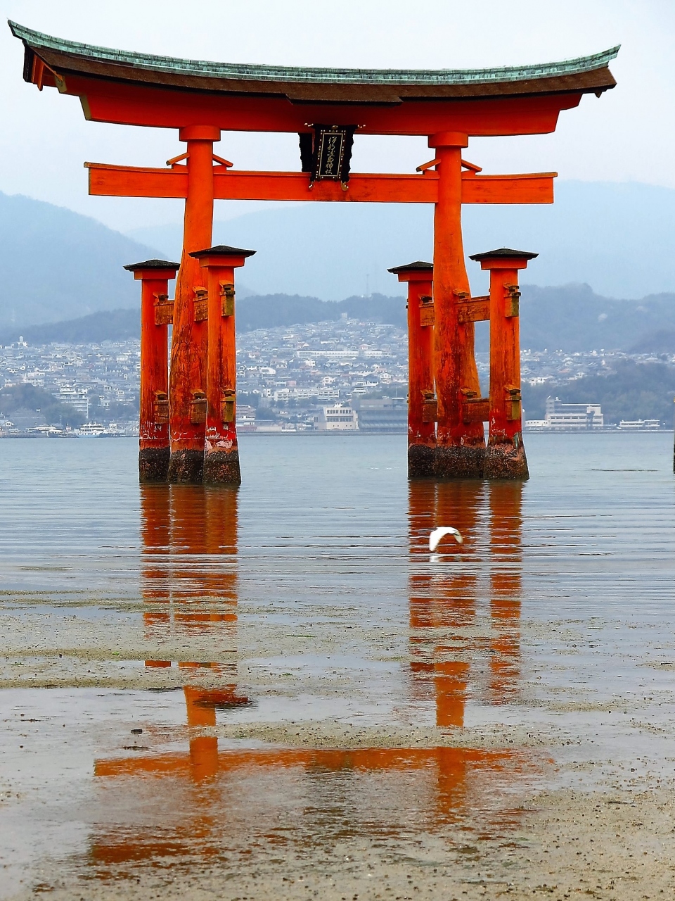 宮島 8 厳島神社a 干潮の海側から見る社殿 大鳥居近くまで歩いて 宮島 厳島神社 広島県 の旅行記 ブログ By マキタン2さん フォートラベル 宮島 8 厳島神社a 干潮の海側から見る社殿 大鳥居近くまで歩いて 宮島 厳島神社 広島県 の旅行記 ブログ By マキタン2さん フォートラベル