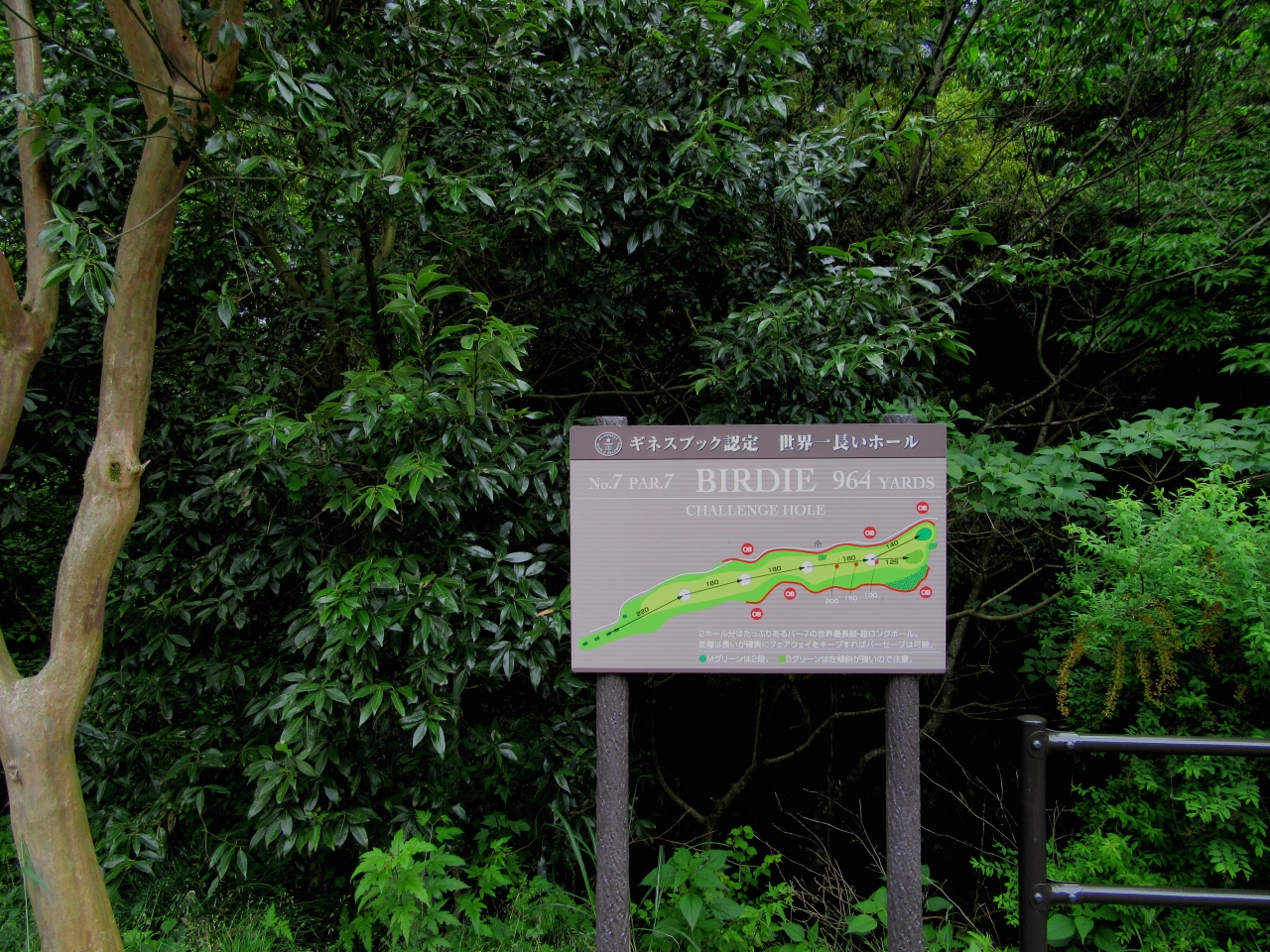 ギネス登録ある新緑のpgm皐月ゴルフ倶楽部 佐野コース 5 16 佐野 栃木県 の旅行記 ブログ By Rockyさん フォートラベル ギネス登録ある新緑のpgm皐月ゴルフ倶楽部 佐野コース 5 16 佐野 栃木県 の旅行記 ブログ By Rockyさん フォートラベル
