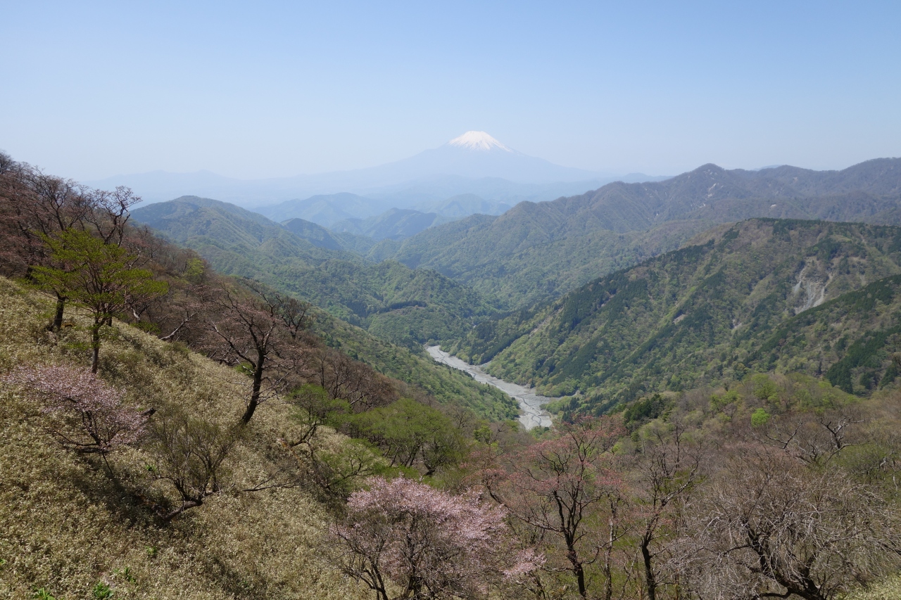 天気 丹沢