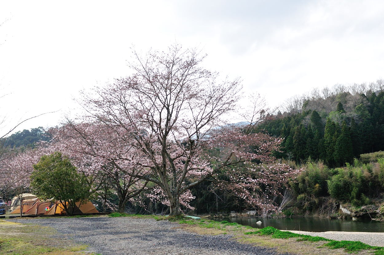 キャンプ 三重 場 県