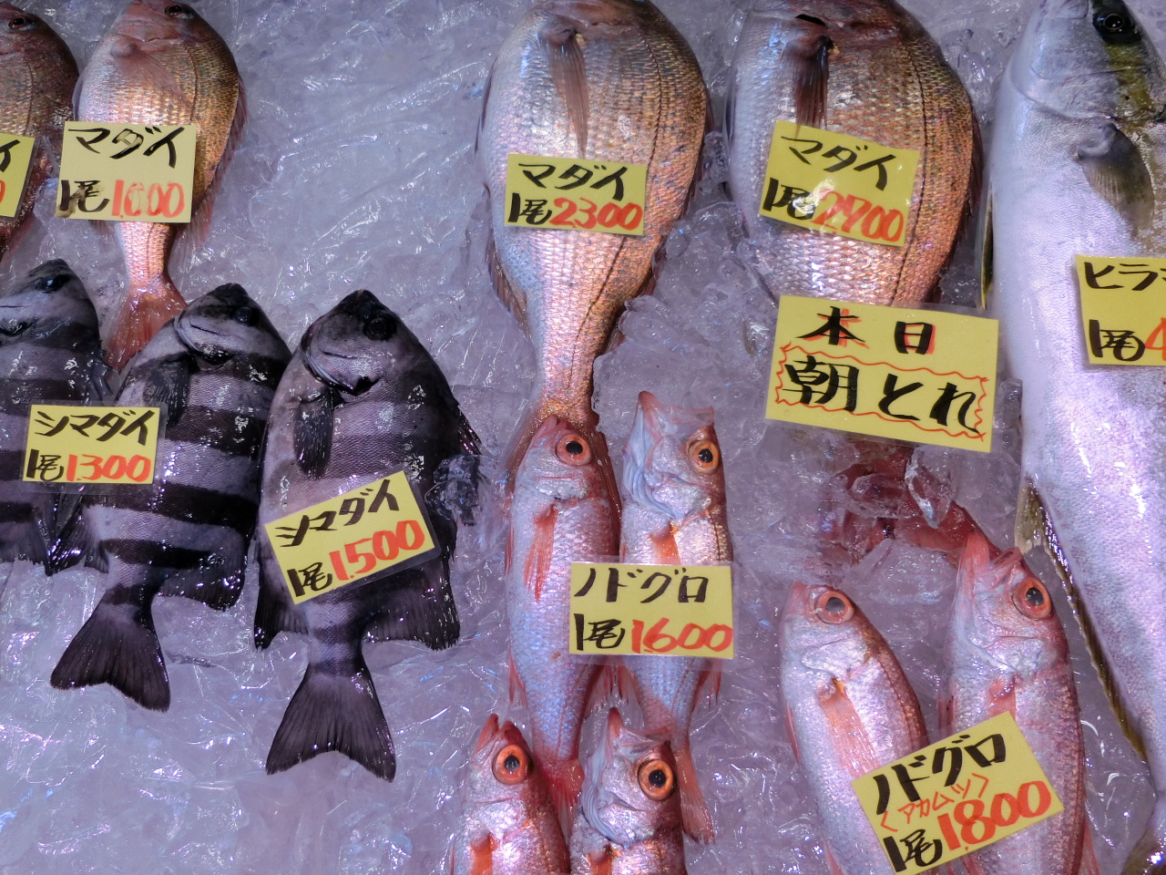 寒ブリの時期は終わったが氷見へ 氷見 富山県 の旅行記 ブログ By みゅーいちさん フォートラベル