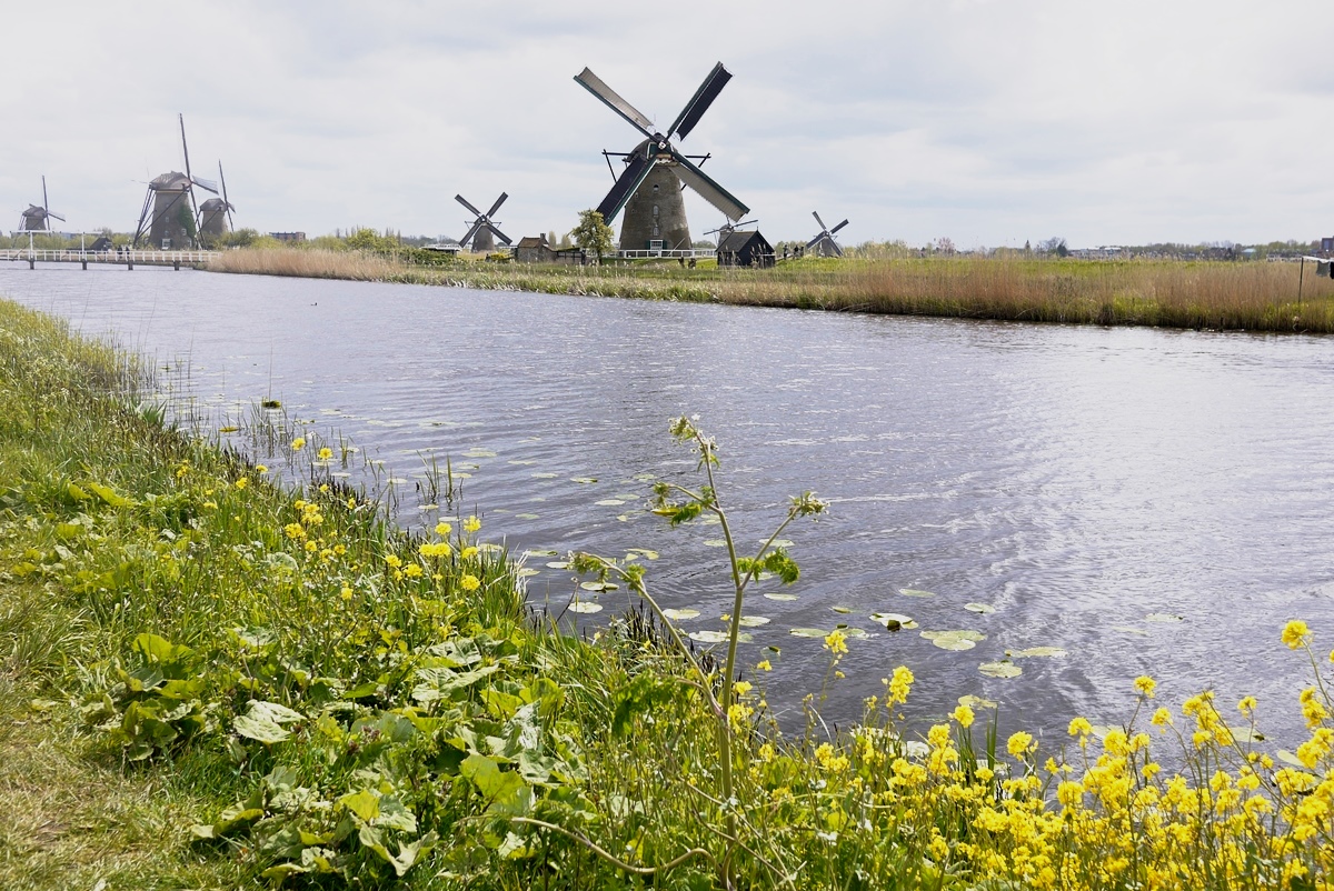 16年gw オランダ一人旅 その2 デルフト キンデルダイク オランダの旅行記 ブログ By Pi Noteさん フォートラベル 16年gw オランダ一人旅 その2 デルフト キンデルダイク オランダの旅行記 ブログ By Pi Noteさん フォートラベル