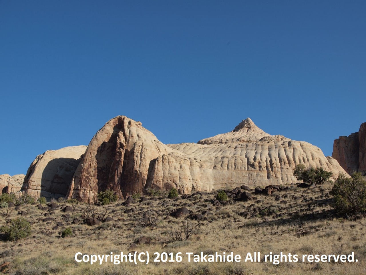 キャピトル リーフ国立公園 Capitol Reef National Park キャピトルリーフ国立公園周辺 アメリカ の旅行記 ブログ By Takahideさん フォートラベル