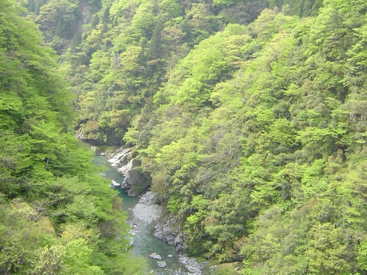 徳島 祖谷 小便小僧 と かずら橋 と 隠れ宿 祖谷美人 祖谷渓 かずら橋 大歩危 徳島県 の旅行記 ブログ By 那仁奴音之さん フォートラベル