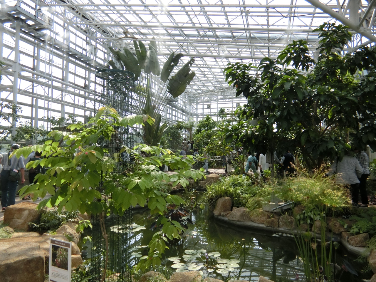 リニューアル後の神代植物公園の温室 調布 狛江 東京 の旅行記 ブログ By Anelloさん フォートラベル