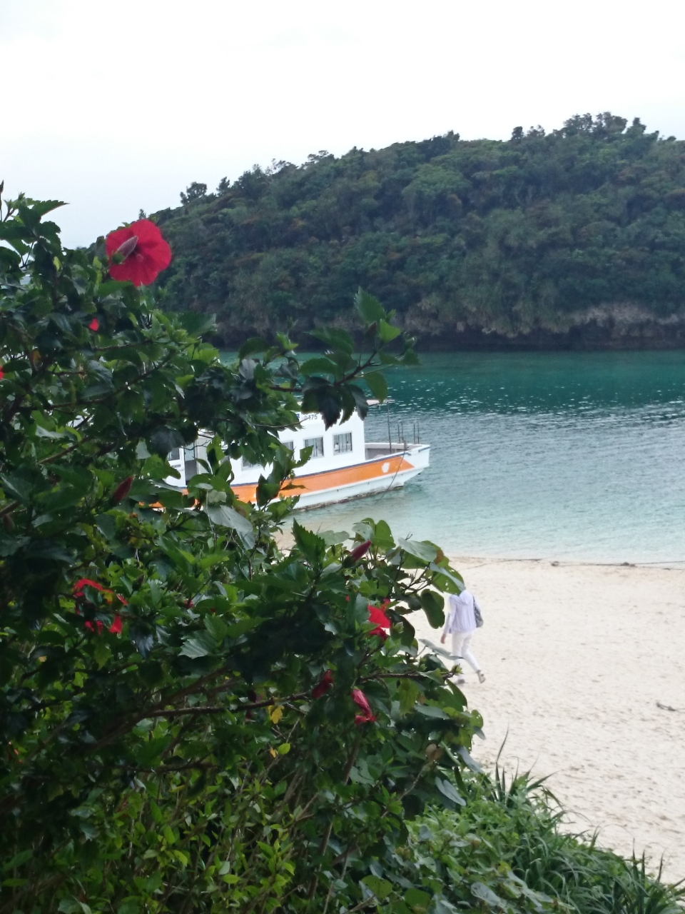 緑に癒される ４月の石垣島 石垣島 沖縄県 の旅行記 ブログ By Mi Miさん フォートラベル