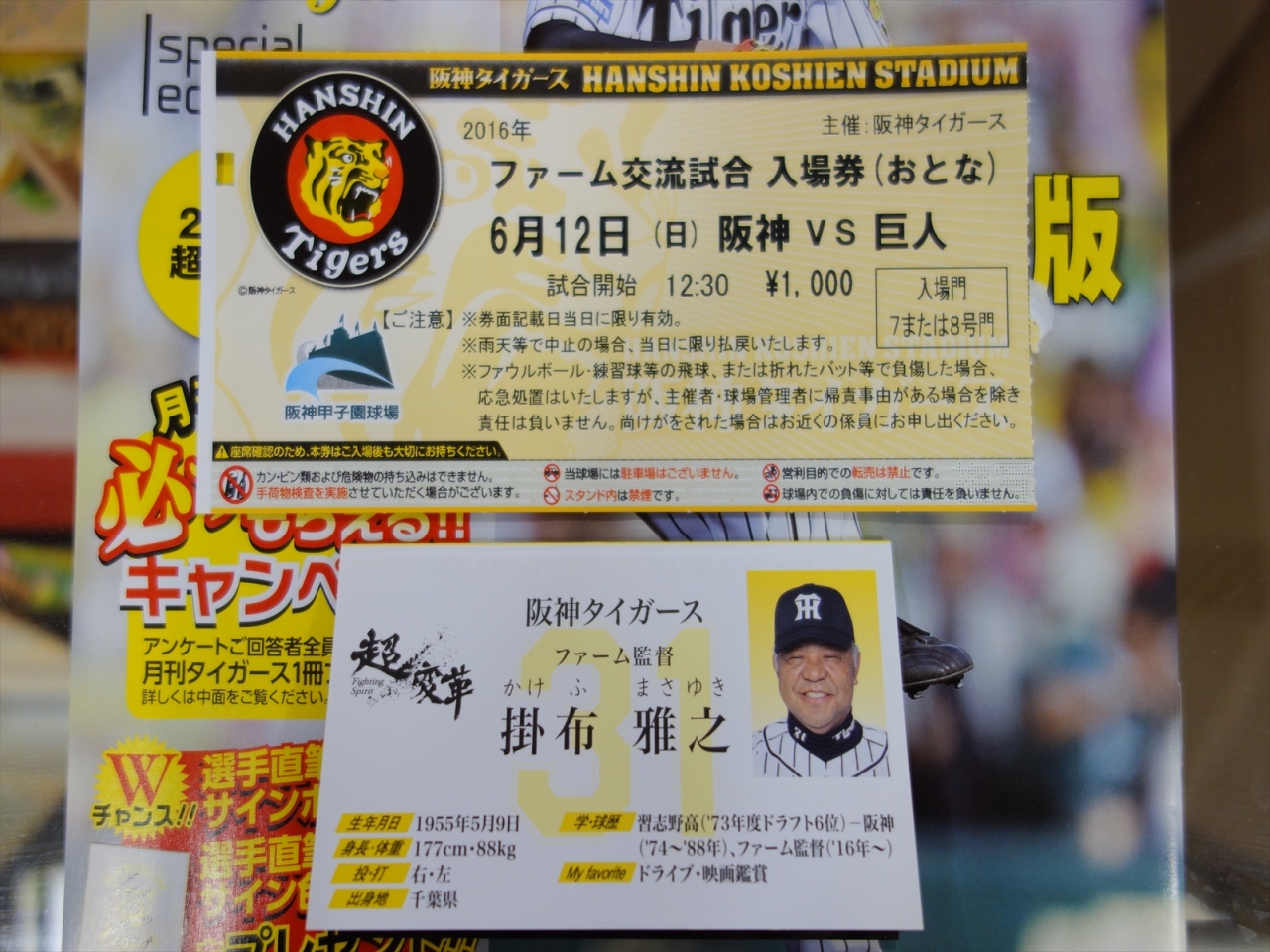 16年 6月 兵庫県 甲子園 西宮 芦屋 兵庫県 の旅行記 ブログ By Takashi Yさん フォートラベル 16年 6月 兵庫県 甲子園 西宮 芦屋 兵庫県 の旅行記 ブログ By Takashi Yさん フォートラベル