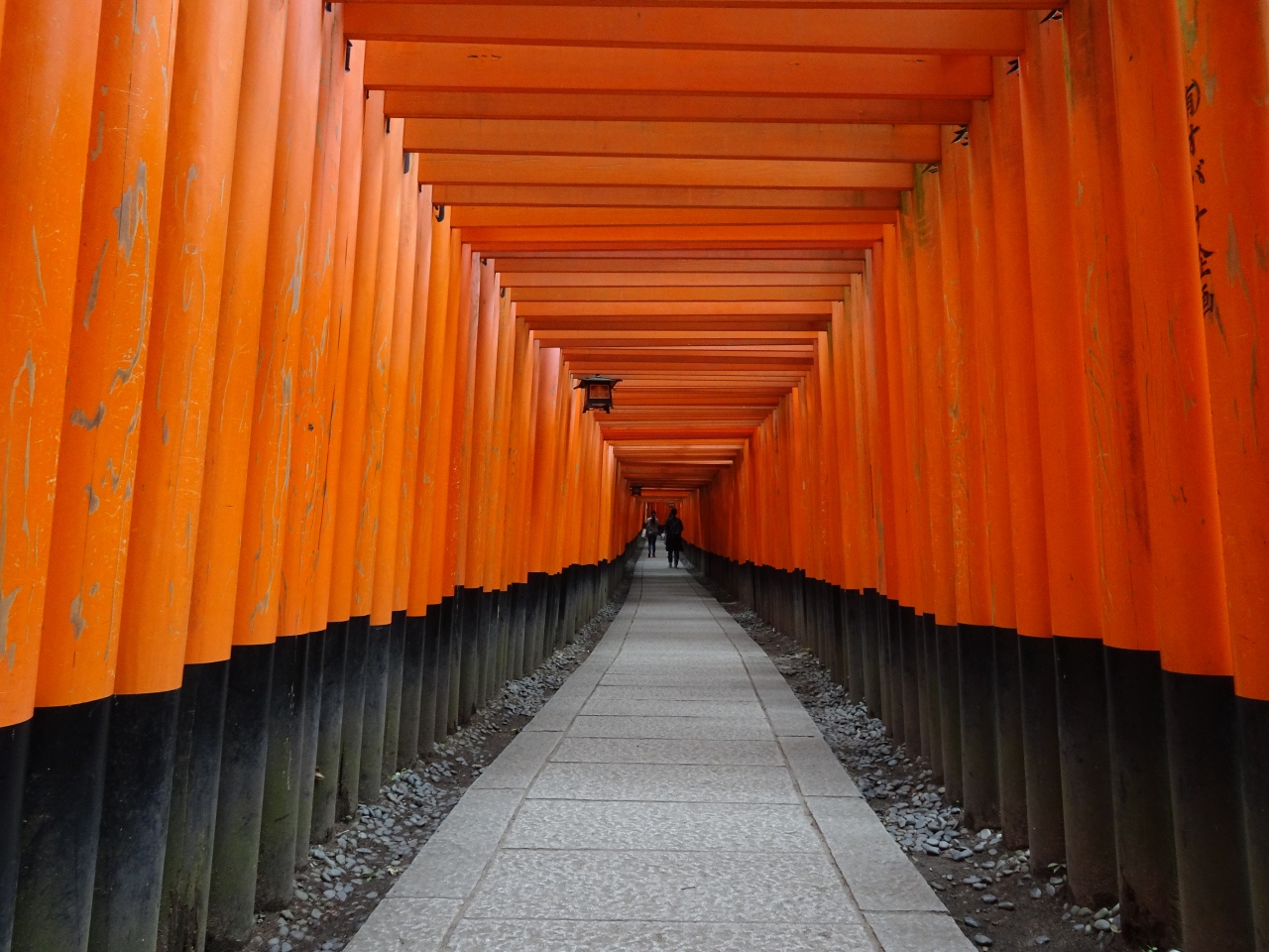 初めての伏見稲荷 京都駅周辺 京都 の旅行記 ブログ By なおかりさん フォートラベル