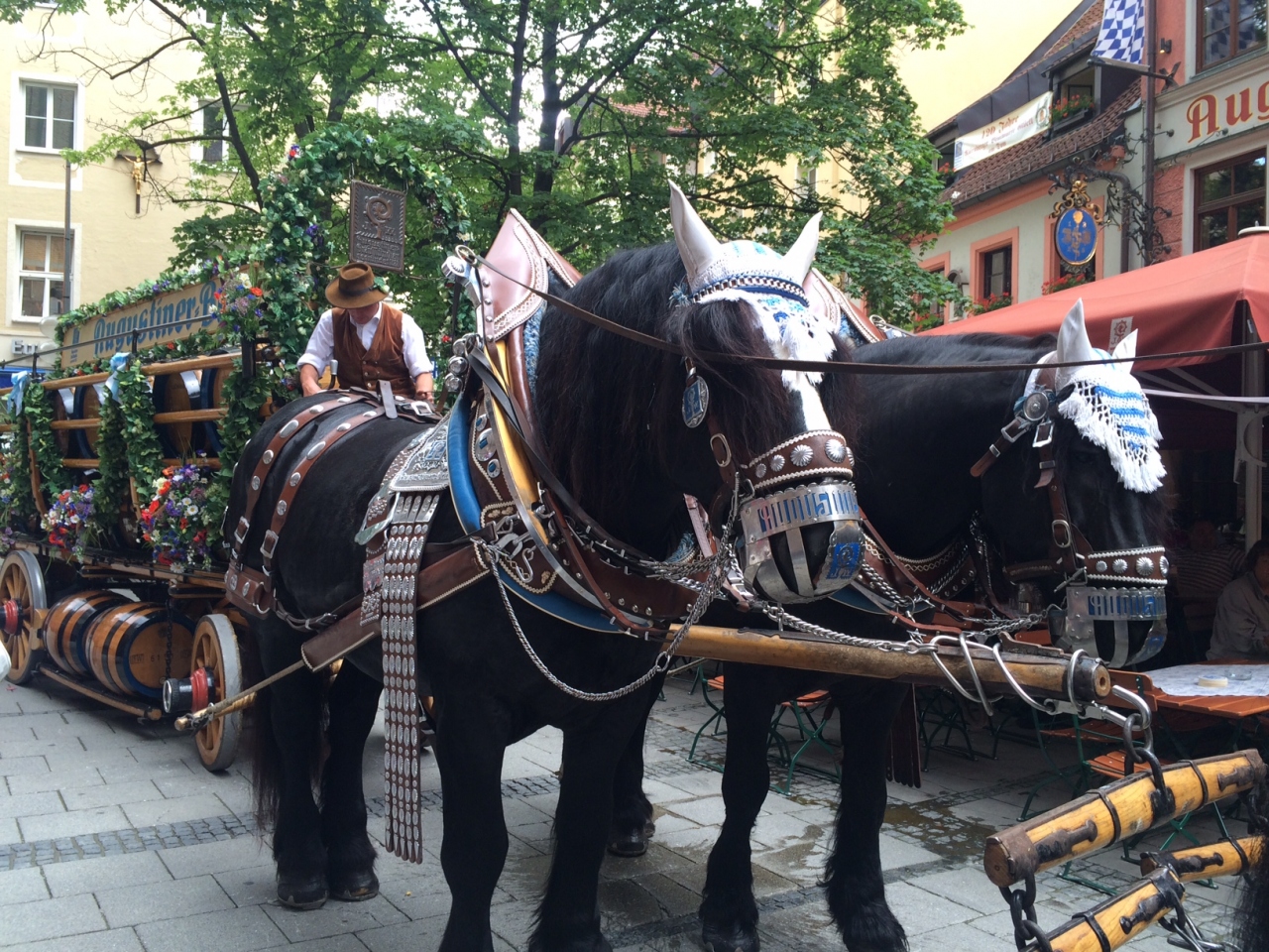 バイエルン王国の都 ミュンヘン ドイツ ドイツで最っとも楽しい街を歩く ６月 ２０１６年 ミュンヘン ドイツ の旅行記 ブログ By Hamaさん フォートラベル