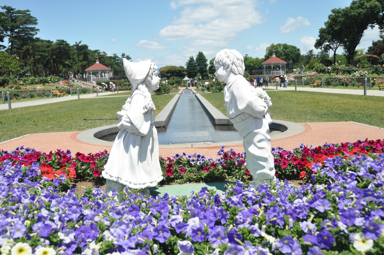 ランチのついでにバラ園へ 前橋 群馬県 の旅行記 ブログ By Mr チャングムさん フォートラベル