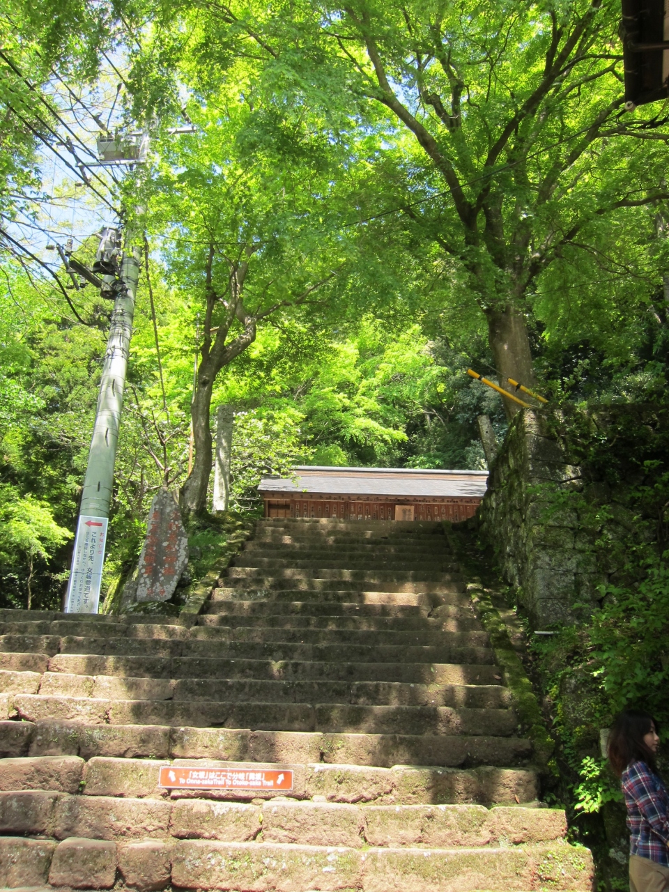 今年のgwは大山ハイキング 丹沢 大山 神奈川県 の旅行記 ブログ By Kazuさん フォートラベル