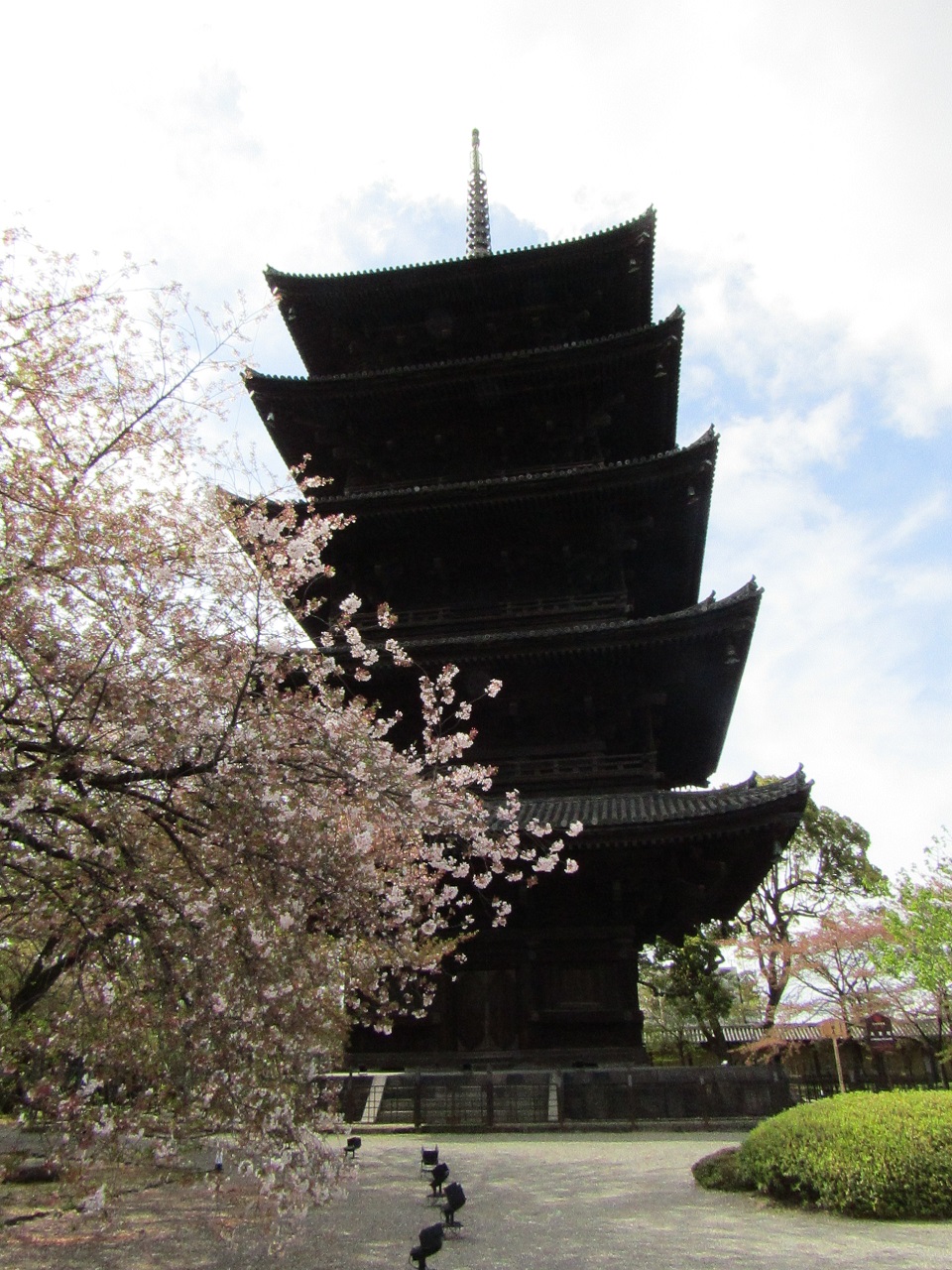 世界遺産 京都東寺 京都駅周辺 京都 の旅行記 ブログ By おっとっとさん フォートラベル
