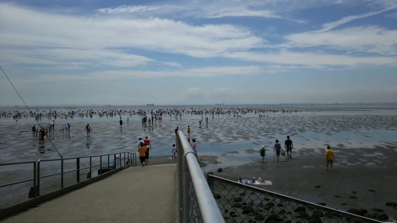 千葉 南房総から木更津へ 地引網 潮干狩りの旅のはずが 富浦 富山 千葉県 の旅行記 ブログ By くりこさん フォートラベル