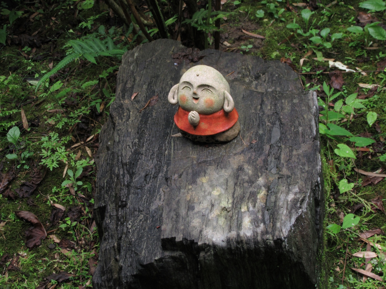 遠州の小京都を訪ねて 極楽寺 通称あじさい寺 森 静岡県 の旅行記 ブログ By Tabibitoさん フォートラベル 遠州の小京都を訪ねて 極楽寺 通称あじさい寺 森 静岡県 の旅行記 ブログ By Tabibitoさん フォートラベル