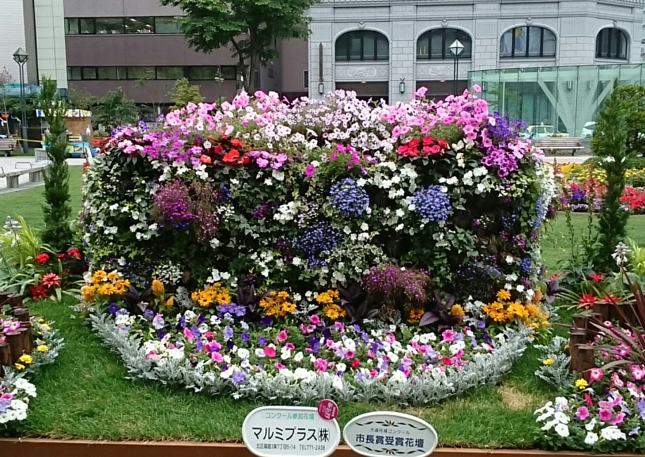 花フェスタ 16 で花壇めぐり 札幌 北海道 の旅行記 ブログ By Ake Bingaさん フォートラベル