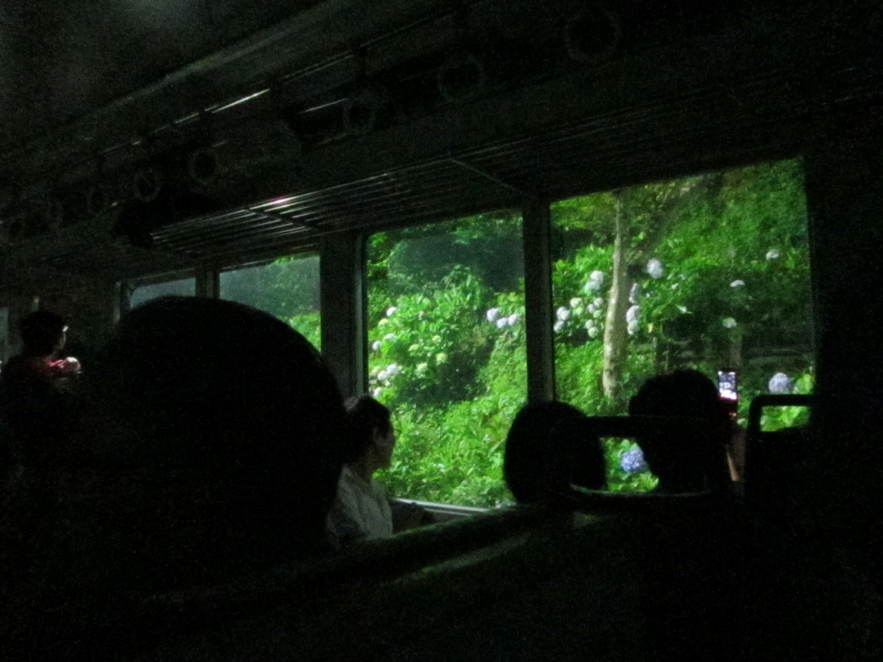 あじさい電車 に乗って箱根のあじさい観光 強羅温泉 神奈川県 の旅行記 ブログ By まいこさん フォートラベル あじさい電車 に乗って箱根のあじさい観光 強羅温泉 神奈川県 の旅行記 ブログ By まいこさん フォートラベル