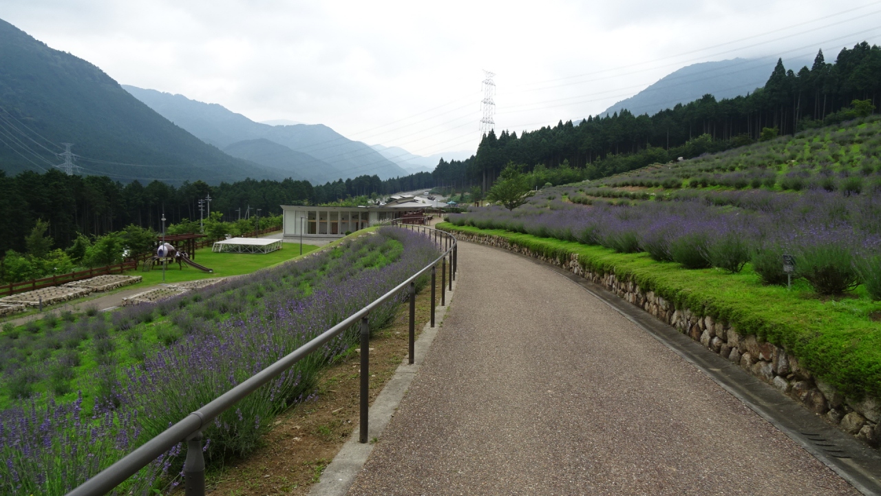 西日本最大のラベンダー園 ラベンダーパーク多可 上巻 多可 西脇 加東 兵庫県 の旅行記 ブログ By Hn11さん フォートラベル