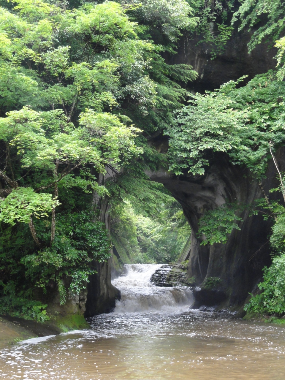 16 6 千葉県 人気スポットちょこっと巡り 勝浦 千葉県 の旅行記 ブログ By Pisiriさん フォートラベル