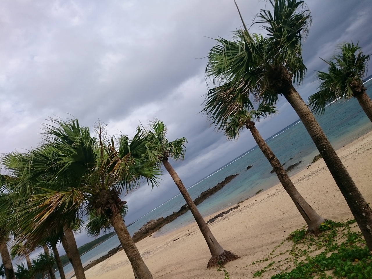 バニラエアで行く しまバスで巡る奄美の旅 奄美大島 鹿児島県 の旅行記 ブログ By れいれいさん フォートラベル バニラエアで行く しまバスで巡る奄美の旅 奄美大島 鹿児島県 の旅行記 ブログ By れいれいさん フォートラベル