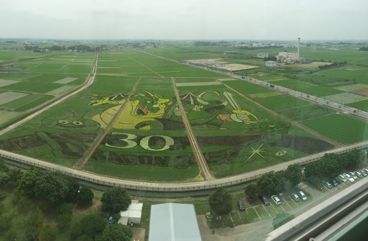 世界最大の田んぼアート 行田 羽生 加須 埼玉県 の旅行記 ブログ By サンデー毎日オヤジさん フォートラベル 世界最大の田んぼアート 行田 羽生 加須 埼玉県 の旅行記 ブログ By サンデー毎日オヤジさん フォートラベル