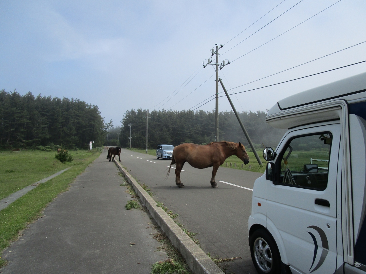 車中泊 16北海道 まいど函館から観光よりも食の旅 函館 北海道 の旅行記 ブログ By Harukikiさん フォートラベル