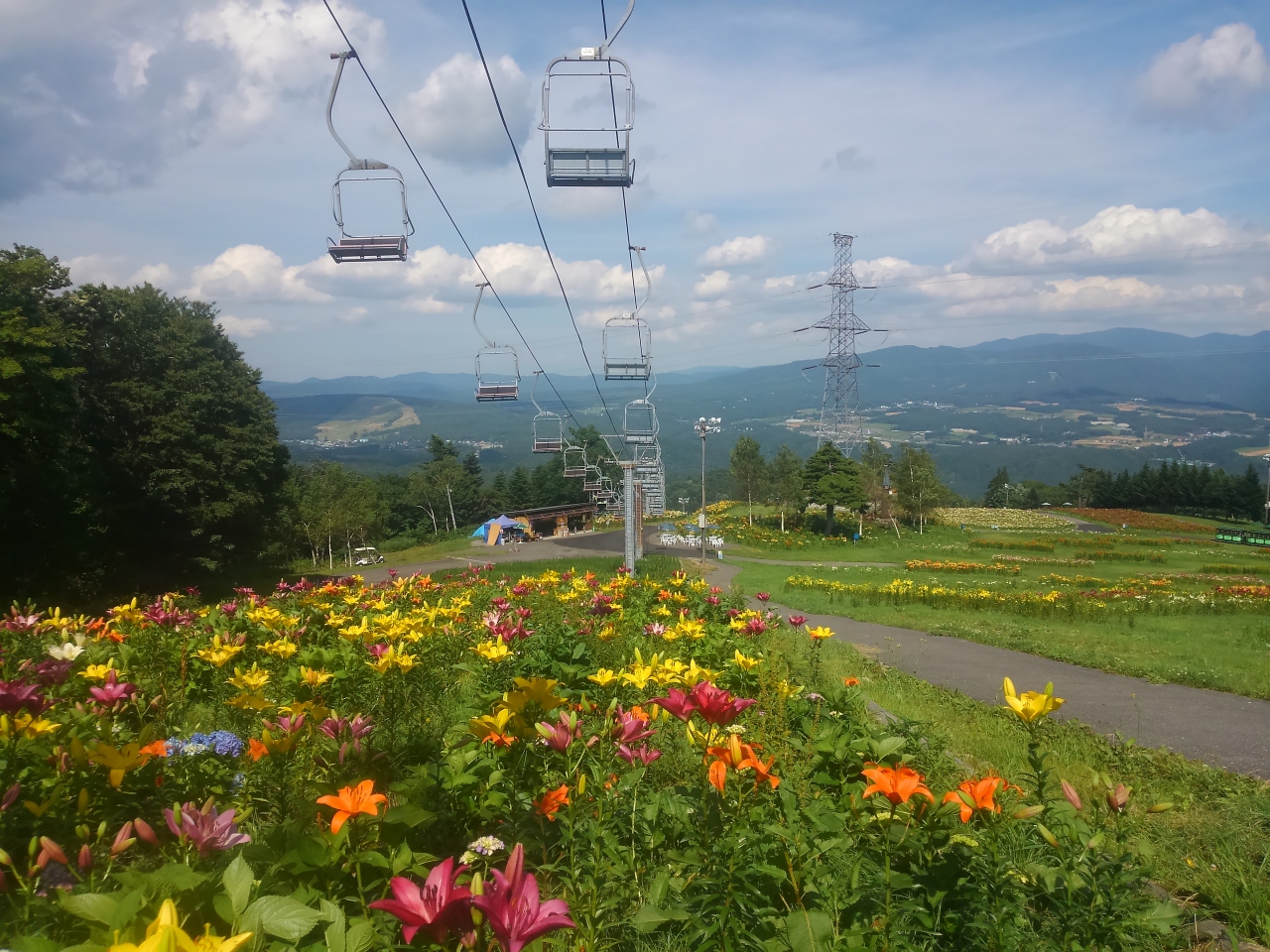 ダイナランド ゆり園 ひるがの高原 鷲ヶ岳 岐阜県 の旅行記 ブログ By Melonpanさん フォートラベル