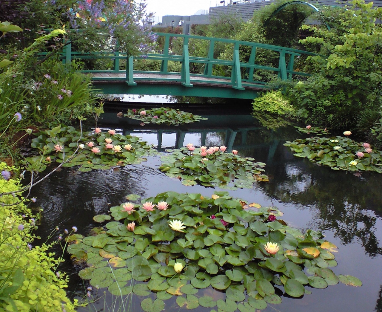 池袋西武 モネの睡蓮 池袋 東京 の旅行記 ブログ By あんみつ姫さん フォートラベル