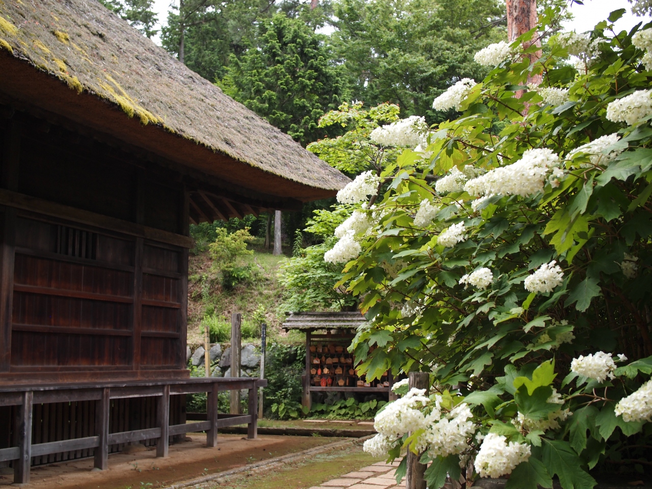 関東平野の端をなぞるプチお参りの旅 塩船観音寺 高麗神社 聖天院 青梅 東京 の旅行記 ブログ By 三峯霧美さん フォートラベル 関東平野の端をなぞるプチお参りの旅 塩船観音寺 高麗神社 聖天院 青梅 東京 の旅行記 ブログ By 三峯霧美さん フォートラベル