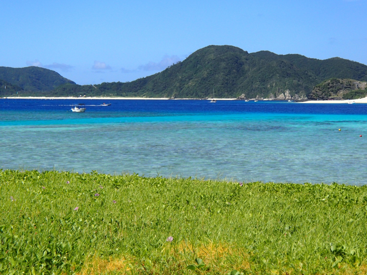 ペンション チャーヴィラ 座間味島 に関する旅行記 ブログ フォートラベル 慶良間諸島 ペンション チャーヴィラ 座間味島 に関する旅行記 ブログ フォートラベル 慶良間諸島