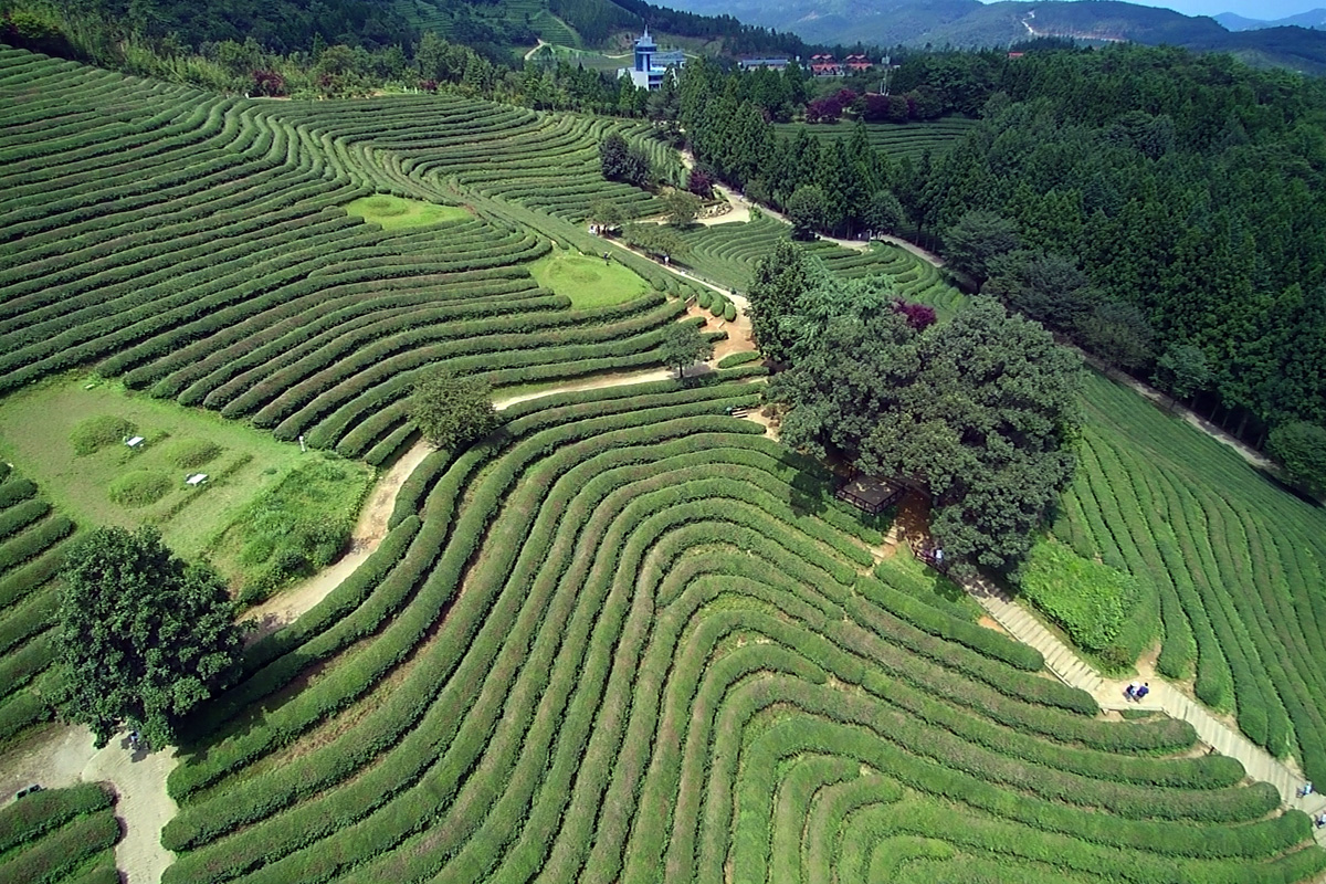 美しい景色と韓国の伝統美が共存する 全南 宝城 ボソン その他の都市 韓国 の旅行記 ブログ By 韓国旅行 全羅南道 光州さん フォートラベル