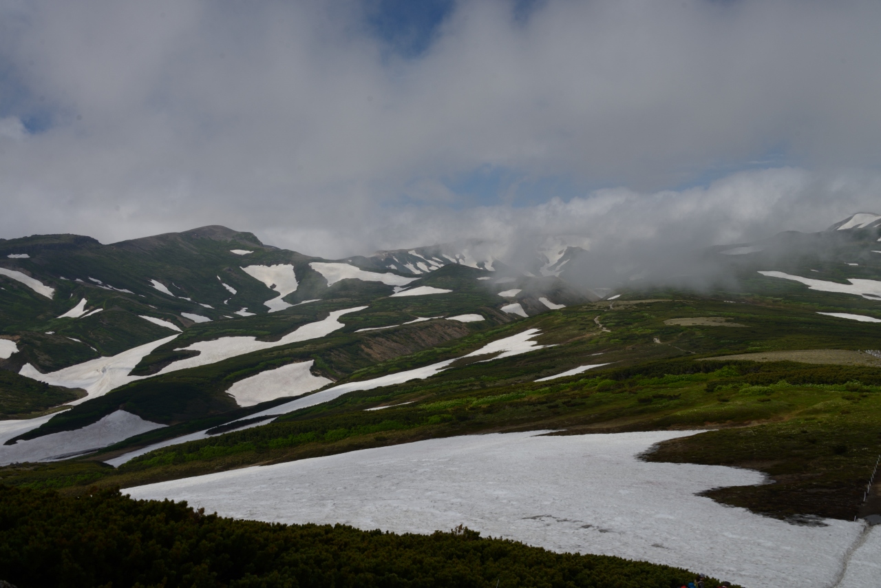 花ゆれる雲上の楽園 大雪山ルート縦走 駒草平へ 旭岳 天人峡 白金 北海道 の旅行記 ブログ By Kyokosa Nさん フォートラベル