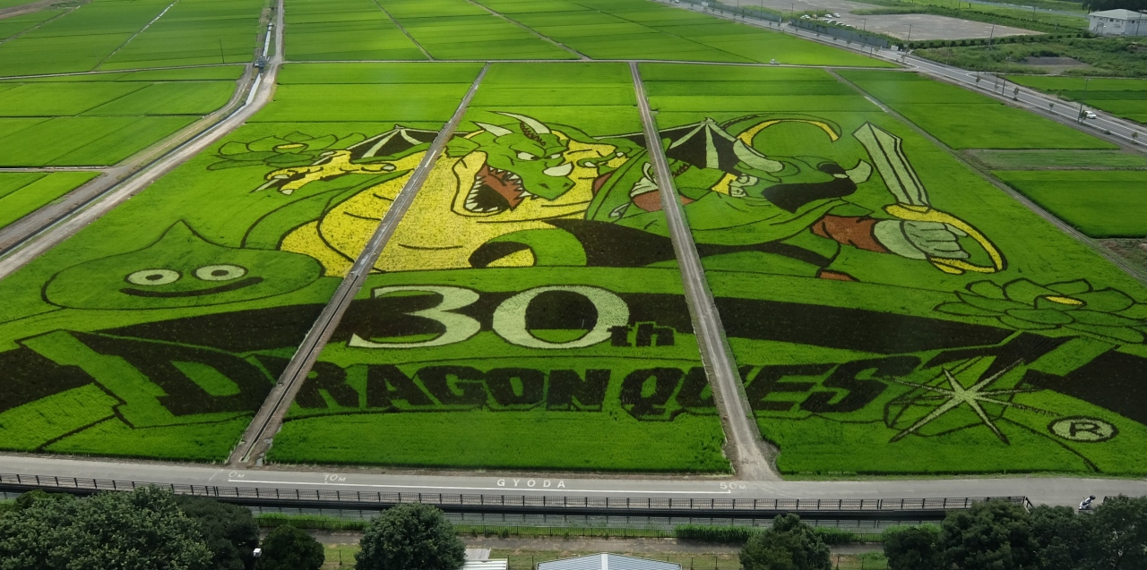 世界最大の田んぼアート 行田市 行田 羽生 加須 埼玉県 の旅行記 ブログ By チズカさん フォートラベル