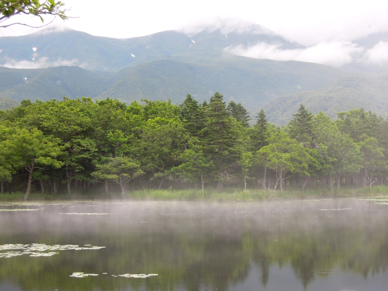 夏の道東 自然満喫旅 その1 北海道の旅行記 ブログ By もまさん フォートラベル 夏の道東 自然満喫旅 その1 北海道の旅行記 ブログ By もまさん フォートラベル